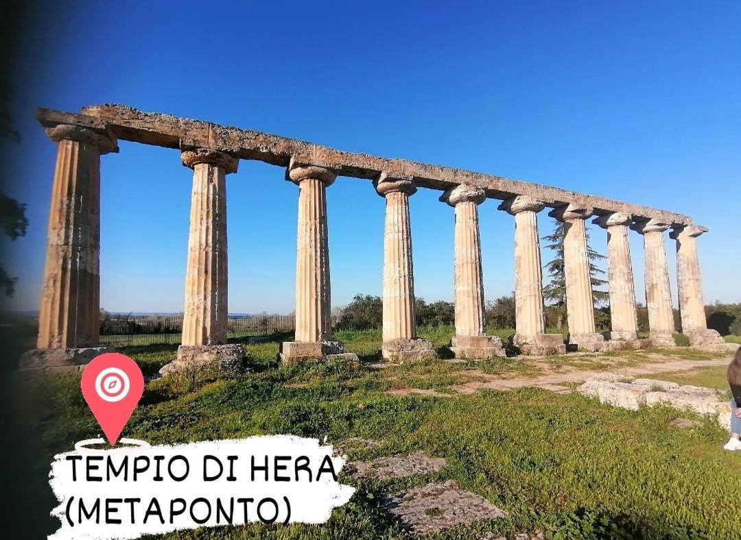 Appartamento Dimora Helianthus Salandra Esterno foto