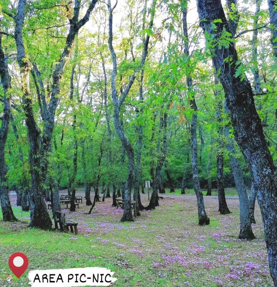 Appartamento Dimora Helianthus Salandra Esterno foto